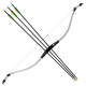 Zenith Bow and 3 Arrows Set 